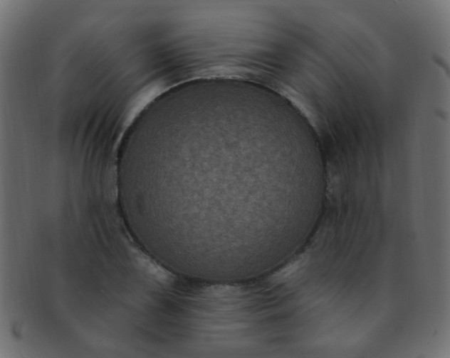 X0000091731075200709071454