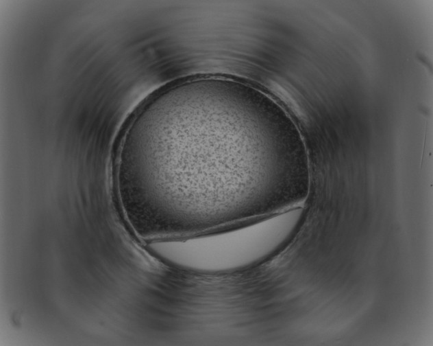 X0000091731076200709071454