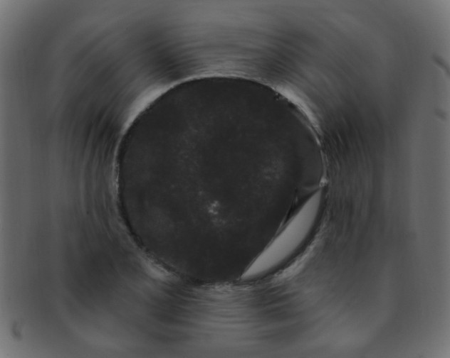 X0000091731077200709071454