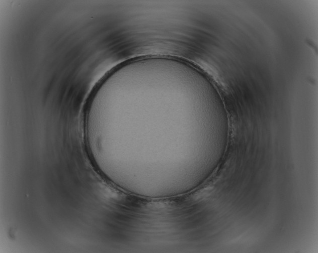 X0000091731078200709071454