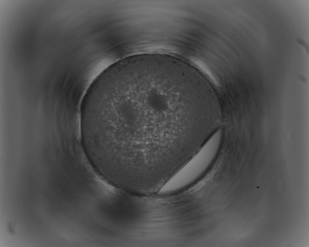 X0000091731079200709071454