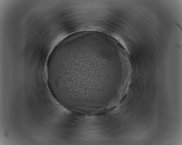 X0000091731080200709071454