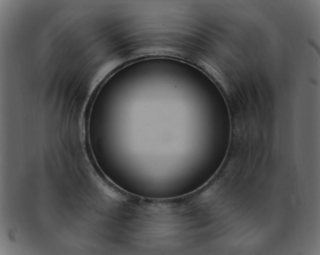 X0000091731082200709071454