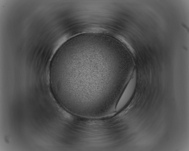 X0000091731083200709071454