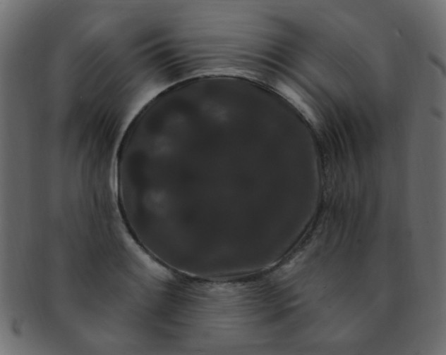 X0000091731084200709071454