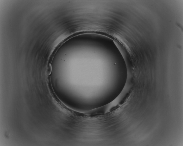 X0000091731085200709071454