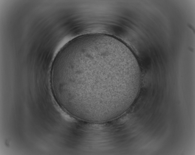 X0000091731086200709071454