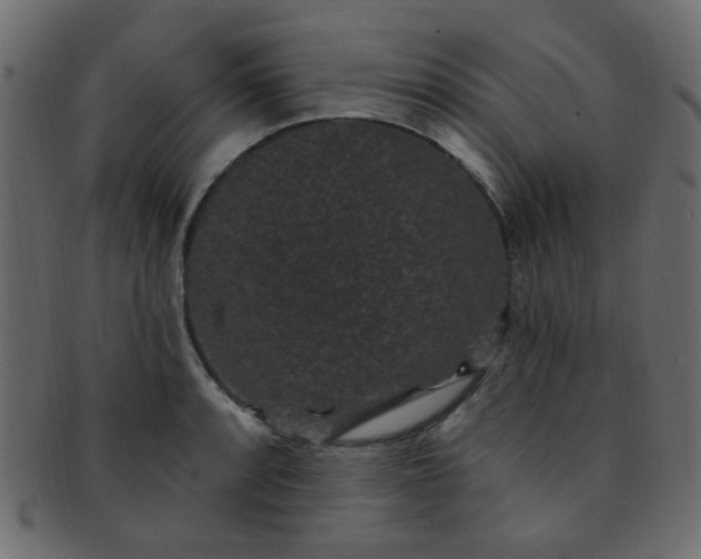 X0000091731088200709071454