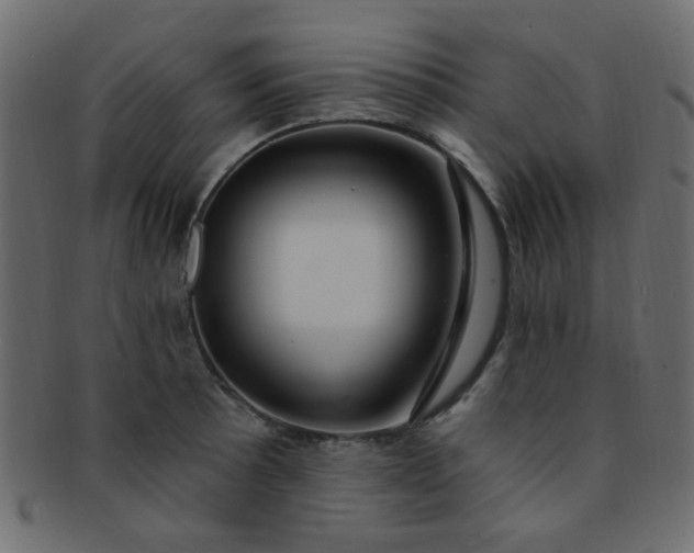 X0000091731089200709071454