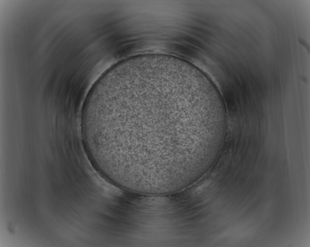 X0000091731090200709071454