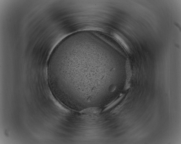 X0000091731092200709071454