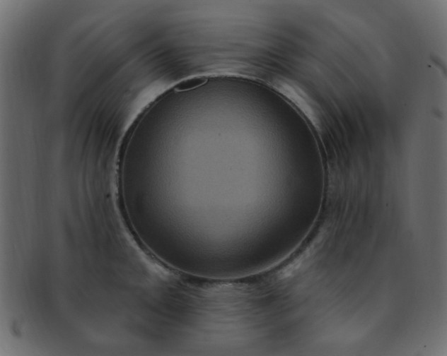 X0000091731093200709071454