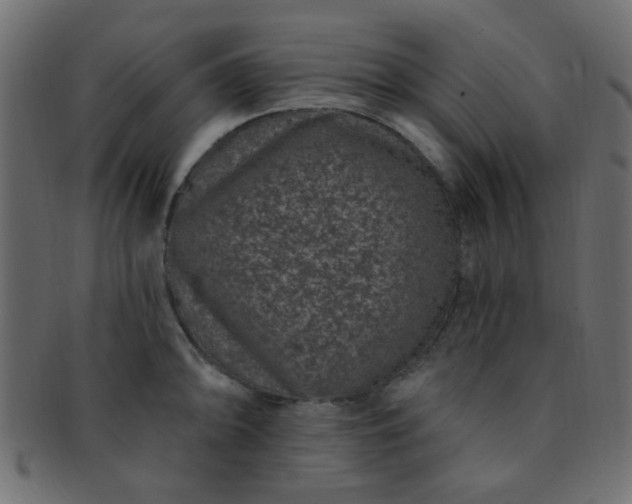 X0000091731094200709071454