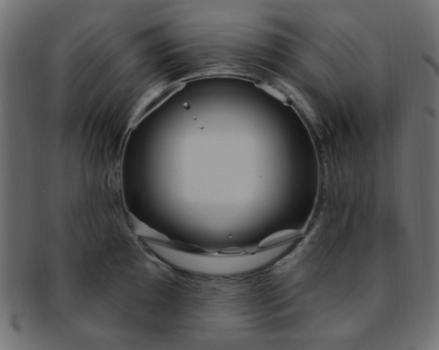 X0000091731097200709071454