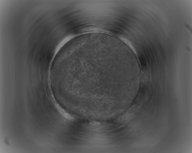 X0000091731098200709071454