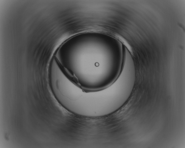 X0000091731099200709071454