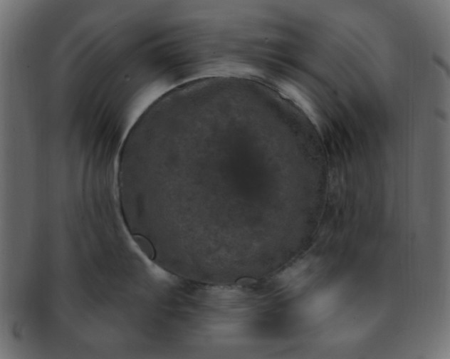 X0000091731103200709071454