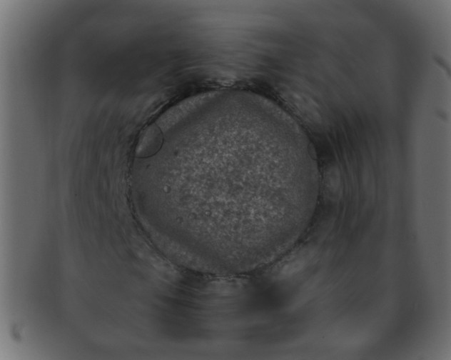 X0000091731105200709071453