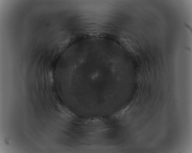 X0000091731106200709071453