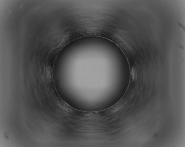 X0000091731107200709071453