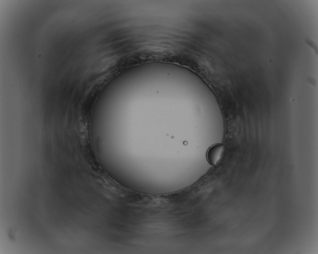 X0000091731109200709071453