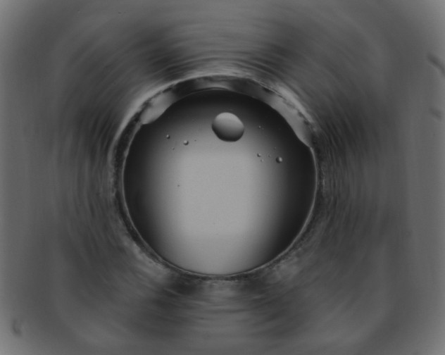 X0000091731116200709071453