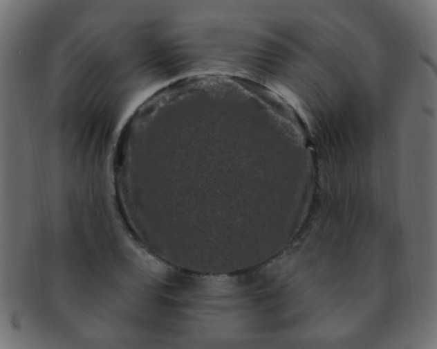 X0000091731120200709071453