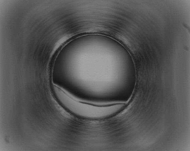 X0000091731122200709071453