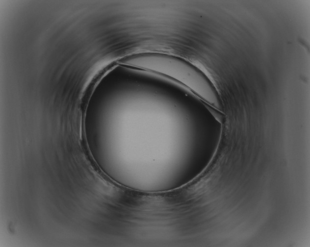 X0000091731123200709071454