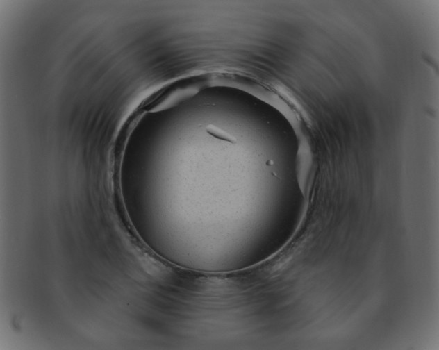 X0000091731124200709071454