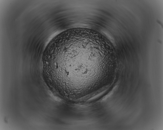 X0000091731125200709071454