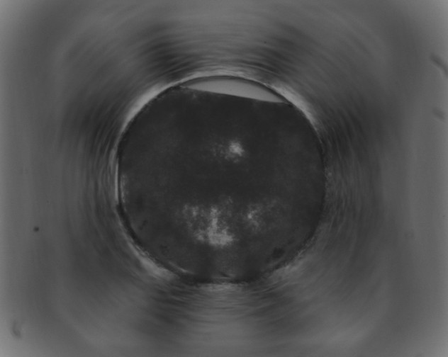 X0000091731127200709071454