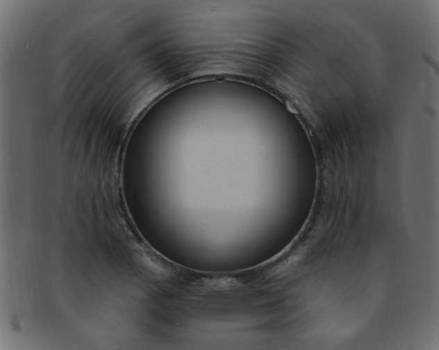 X0000091731129200709071454