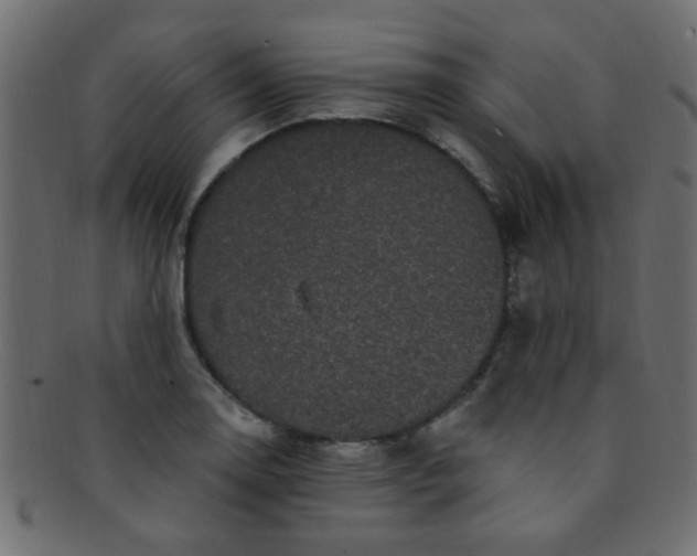 X0000091731130200709071454