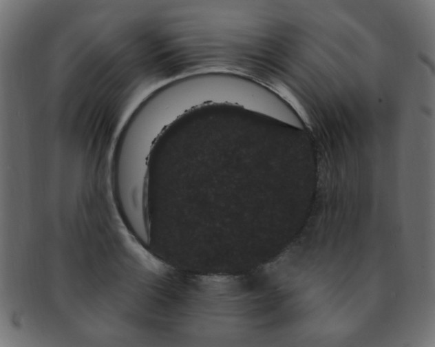 X0000091731132200709071454