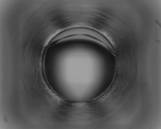 X0000091731134200709071454