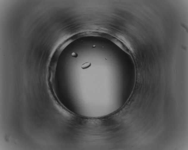 X0000091731136200709071454