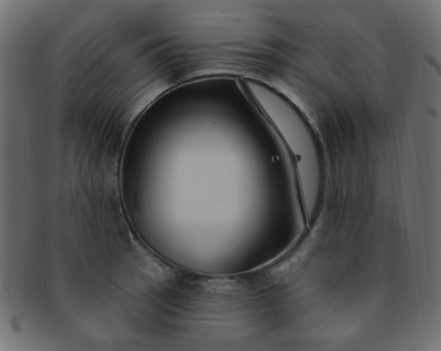 X0000091731137200709071454