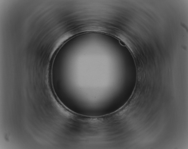 X0000091731139200709071454