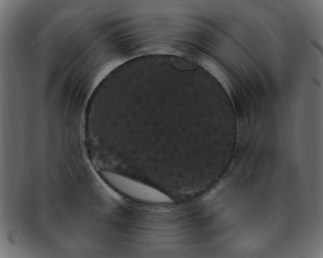 X0000091731141200709071454