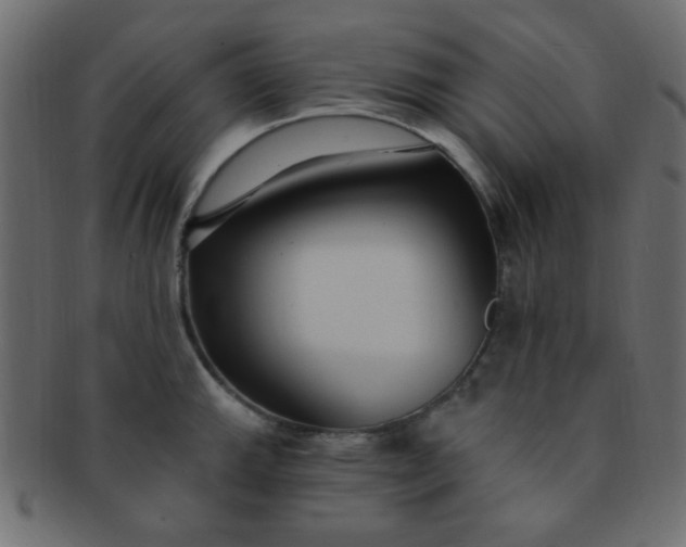 X0000091731143200709071454