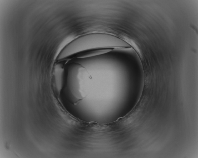 X0000091731146200709071454