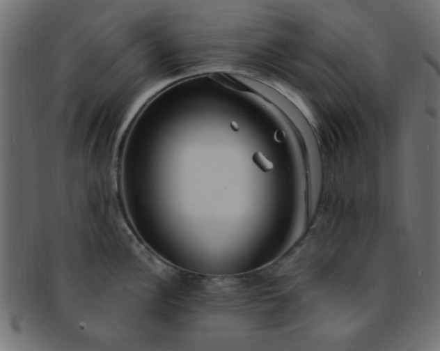 X0000091731148200709071454