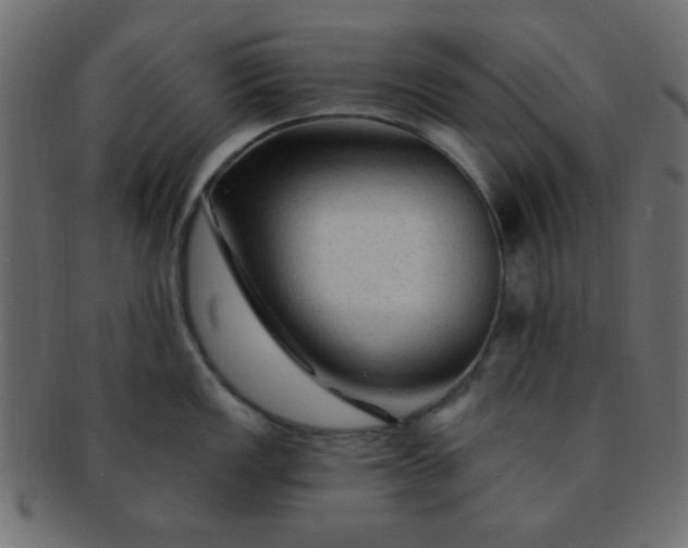 X0000091731149200709071454