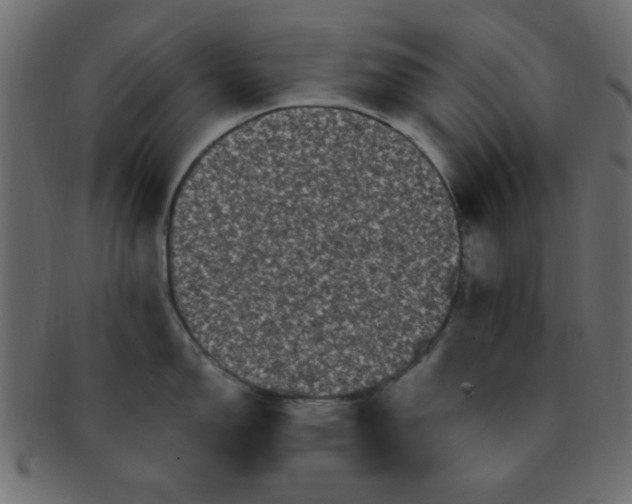 X0000091731150200709071454