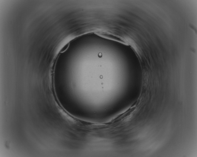 X0000091731151200709071454