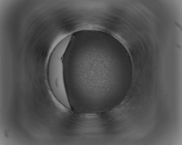 X0000091731152200709071454