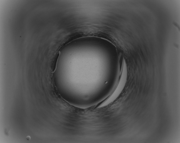 X0000091731153200709071453