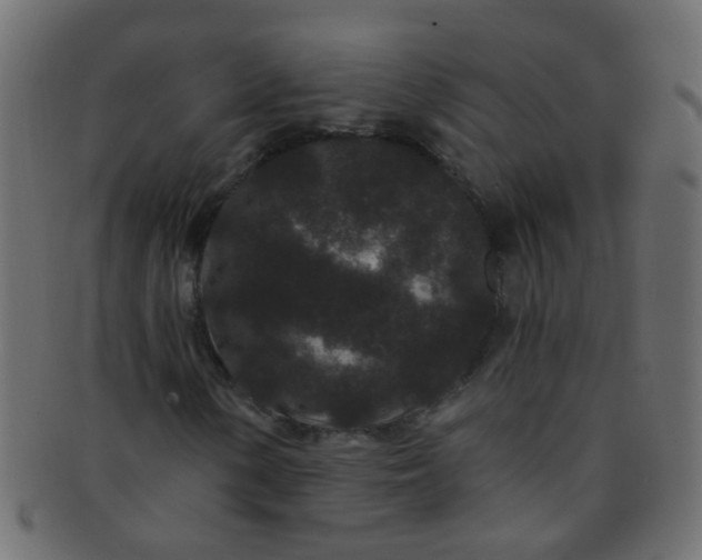 X0000091731154200709071453