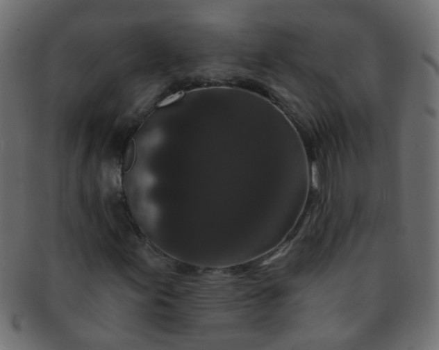 X0000091731155200709071453